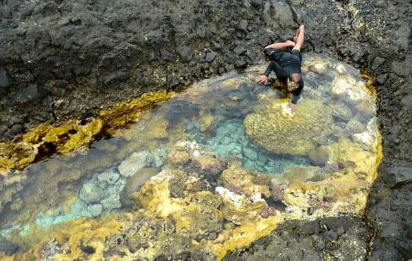 ### Необходимость сохранения морской среды